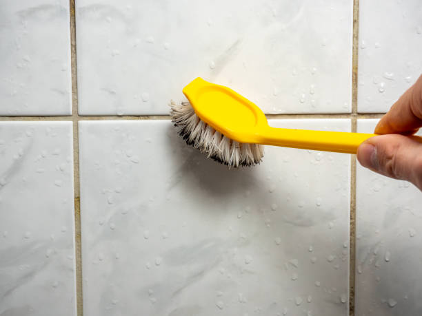 Best Certified Mold Removal  in Timonium, MD