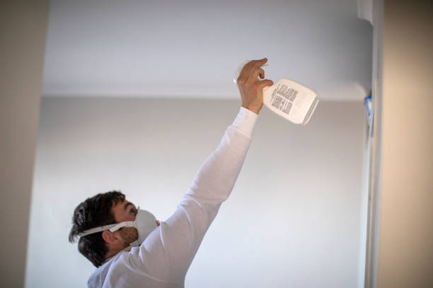 Best Office Mold Removal Services  in Timonium, MD
