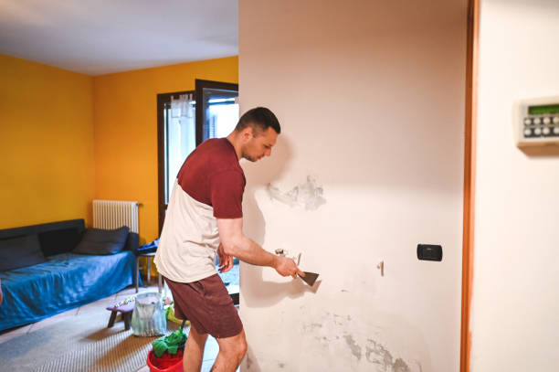 Best Water Damage Restoration  in Timonium, MD
