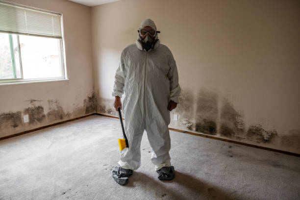 Best Mold Testing  in Timonium, MD